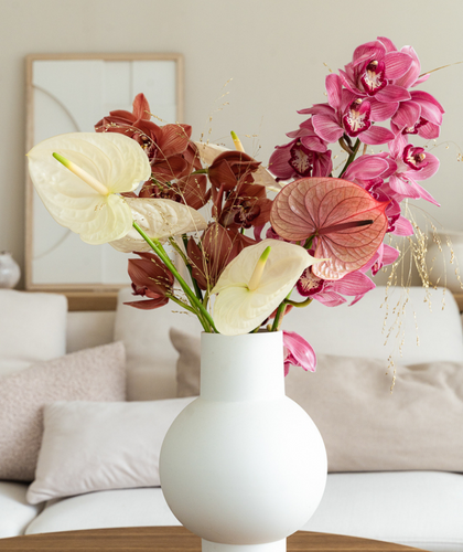 Cut Anthurium Heemskerk Flowers